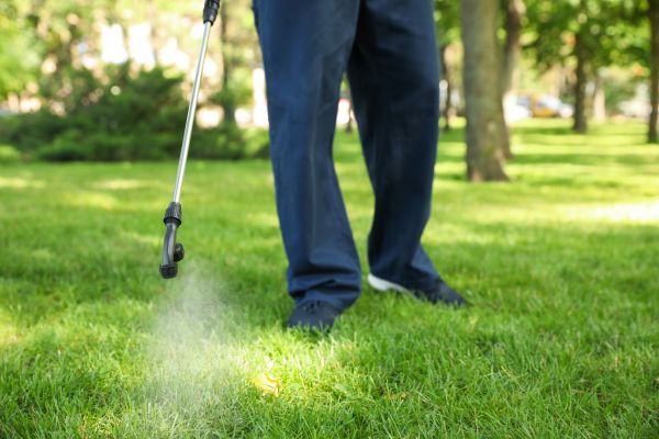 Spokane Lawn Treatment